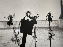 Sara Graça (chronological)